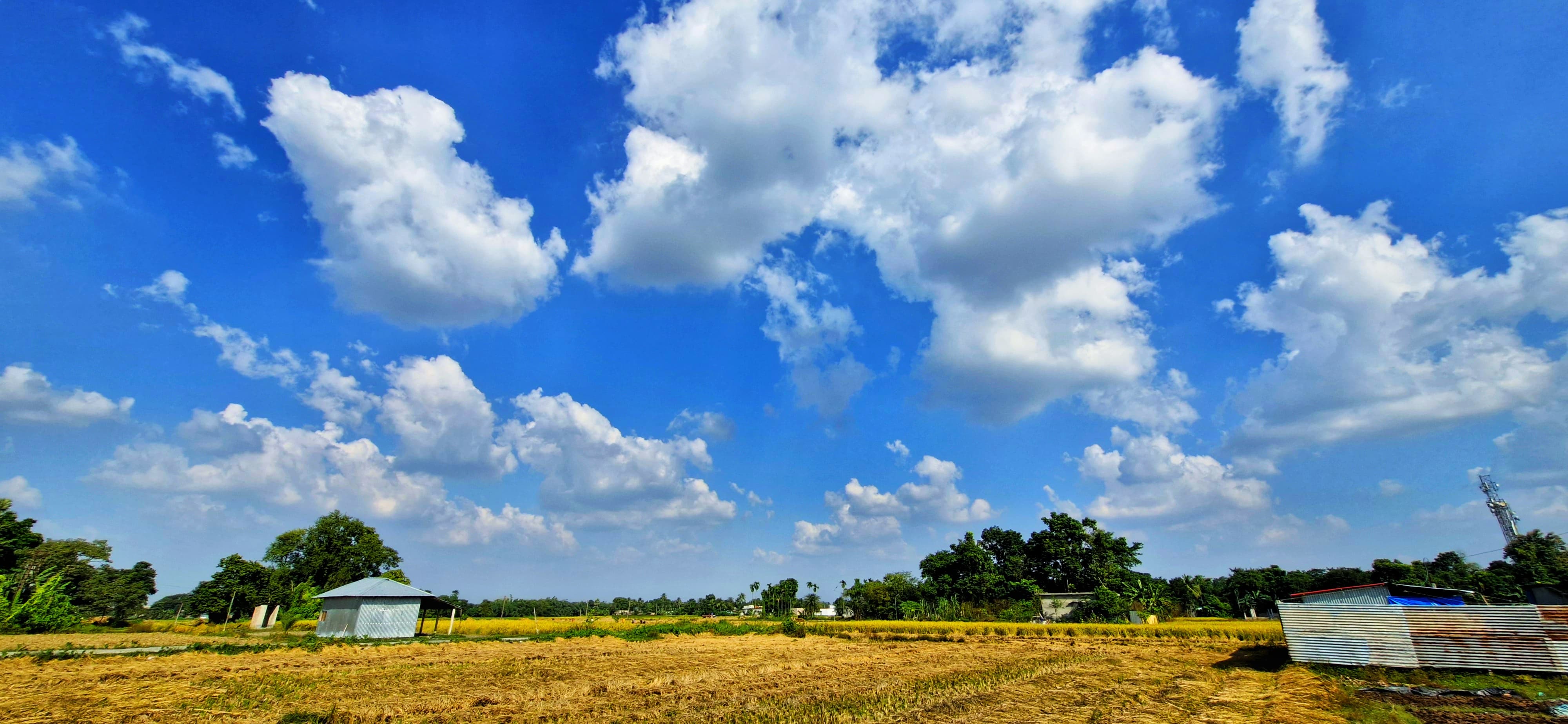 A serene field featuring a house under a partly cloudy sky, evoking a peaceful rural landscape.